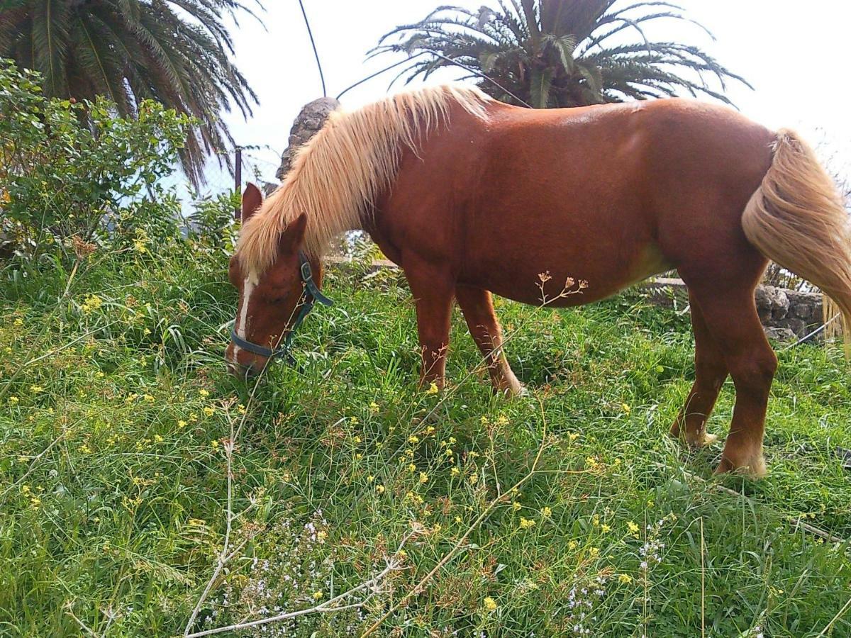 Azienda Agrituristica Le Terre Di San Leonardo Cetraro Luaran gambar